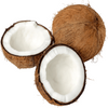 <b>Coconut</b>